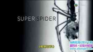 ҵ֩ٿ Super Spider 2010Ӣ-