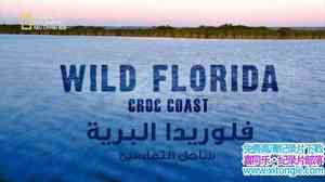 ҵ㺣 Wild FloridaCroc Coast 2014Ӣ-