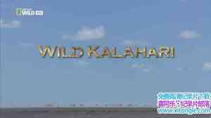 ҵҰ֮: ɳĮ Wild Kalahari 2014Ӣ-