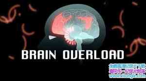 ZED¼ƬԳ Brain Overload 2016ӢӢ-