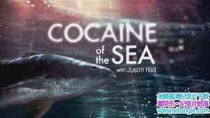 ҵ̽ߡϿɿ Explorer-Cocaine of the Sea 2017-