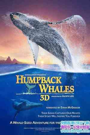 ¼Ƭͷ Humpback Whales 2015Ӣ-