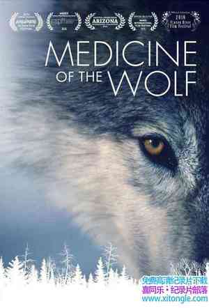 ¼Ƭҽѧ Medicine of the Wolf 2015ӢӢ-