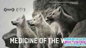 ¼Ƭҽѧ Medicine of the Wolf 2015ӢӢ-