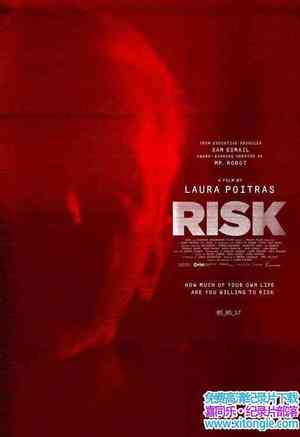 ¼Ƭ Risk 2016Ӣ-