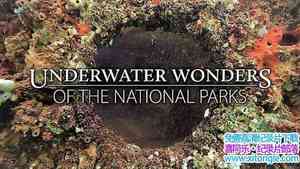 ¼Ƭҹ԰ˮ澰 Underwater Wonders of the National Parks 2016ȫ7-