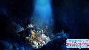 ZED¼Ƭǧ Life 2000 Meters Under The Sea 2016ӢӢ-