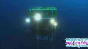 ZED¼Ƭǧ Life 2000 Meters Under The Sea 2016ӢӢ-