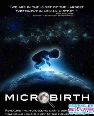 Alto Films¼Ƭ΢ Microbirth 2015ӢӢ-