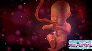 Alto Films¼Ƭ΢ Microbirth 2015ӢӢ-