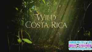 ¼Ƭ֮˹  Wild Costa Rica 2016Ӣ-