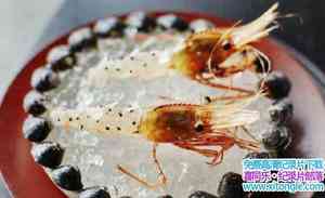 ¼ƬϺ Ants on a Shrimp 2016ӢǶ-