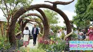 BBC¼Ƭնعչ Hampton Court Palace Flower Show 2017ȫ3-