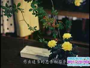 ձ¼Ƭ廨 Ikebana 1957Ӣ-