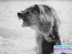 /¼ƬŬ Nanook of the North 1922Ӣ-