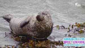 SBS¼Ƭ The Coasts Of Ireland 2014ȫ5-