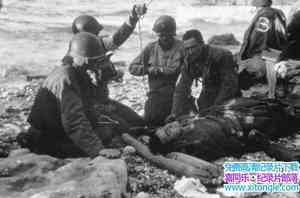 ̽Ƶ½ Surviving D-Day 2011Ӣ-