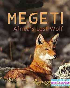 Terra Mater¼ƬMegeti޹ Megeti Africas Lost Wolf 2016ӢӢ-