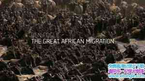 Ch5¼Ƭ޴Ǩ The Great African Migration 2017ȫ4-