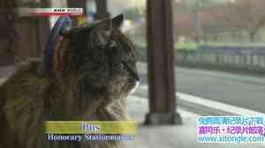 NHK¼ƬѲΡշ Train Cruise Autumn Delights in Tohoku and Shin-Etsu 2-