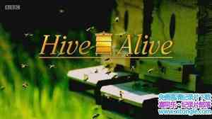 BBC¼ƬԾ䳲 Hive Alive 2014ȫ2-