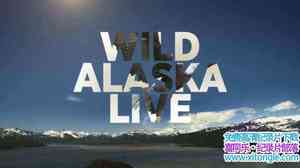 BBC¼ƬҰ˹Live Wild Alaska Live 2017ȫ3-