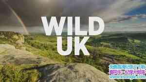 BBC¼ƬҰӢ Wild UK 2017ȫ5-