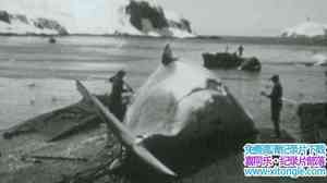 BBC¼ƬӢΪ֪ʷ Britains Whale Hunters The Untold Story 2014ȫ2-