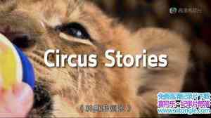 ̨ѵ Circus Stories 2011ȫ5-