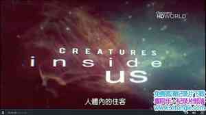 ̽Ƶڵס Creatures Inside Us 2011Ӣ-