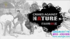 ҵ˽ Crimes Against NatureThe Ivory Trade 2014Ӣ-