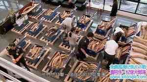 ҵ˽ Crimes Against NatureThe Ivory Trade 2014Ӣ-
