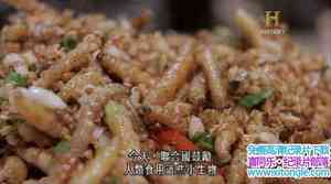 ʷƵδʳ Future Food: Insects 2013Ӣﷱ-