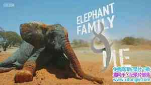 BBC¼ƬһҺ Gordon Buchanan Elephant Family Me 2016ȫ2-