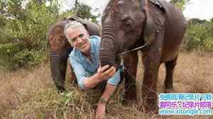 BBC¼ƬһҺ Gordon Buchanan Elephant Family Me 2016ȫ2-