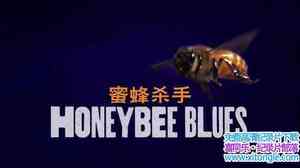 CHC¼Ƭ۷ɱ Honeybee Blues 2009Ӣ-