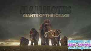 ZDF¼Ƭʱڵľ Mammoths Giants Of The Ice Age 2015ӢӢ-