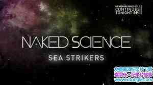 ҵͻϮ Naked Science Sea Strikers 2010ӢӢ-