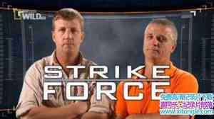 ҵĵιʳStrike ForceShark Bait 2014Ӣ-