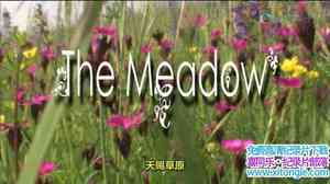 ̨Ͳԭ The Meadow 2009Ӣ-