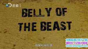 ̽Ƶ֫е Belly of The Beast 20153-