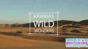 ˹ɭƵױǣҰ漣 Namibias Wild Wonders 2014Ӣ-