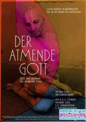 ¹¼Ƭĺִ٤Դͷ֮ Reise zum Ursprung des modernen Yoga 2012-