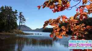 ¼Ƭڶͣǹҹ԰ Second Century Stewardship Acadia National Park 2017-