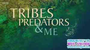 BBC¼Ƭ䡢޺ Tribes Predators Me 2017ȫ3-