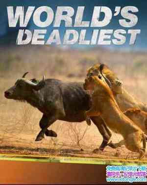 ҵɱ Worlds Deadliest Lady Killers 2016Ӣ-