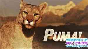 ZDF¼Ƭʨ Puma 2012ӢӢ-