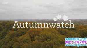 BBC¼Ƭ Autumnwatch 2017ȫ4-