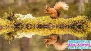 BBC¼Ƭ Autumnwatch 2017ȫ4-