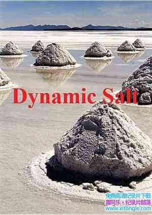 Doc¼Ƭ Dynamic Salt 2015ȫ10-